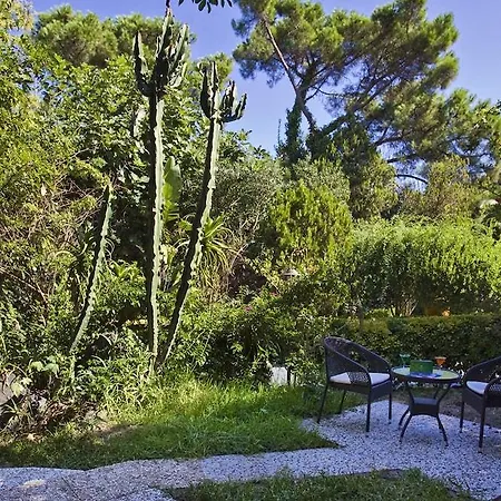 Isola 4* Ίσκια